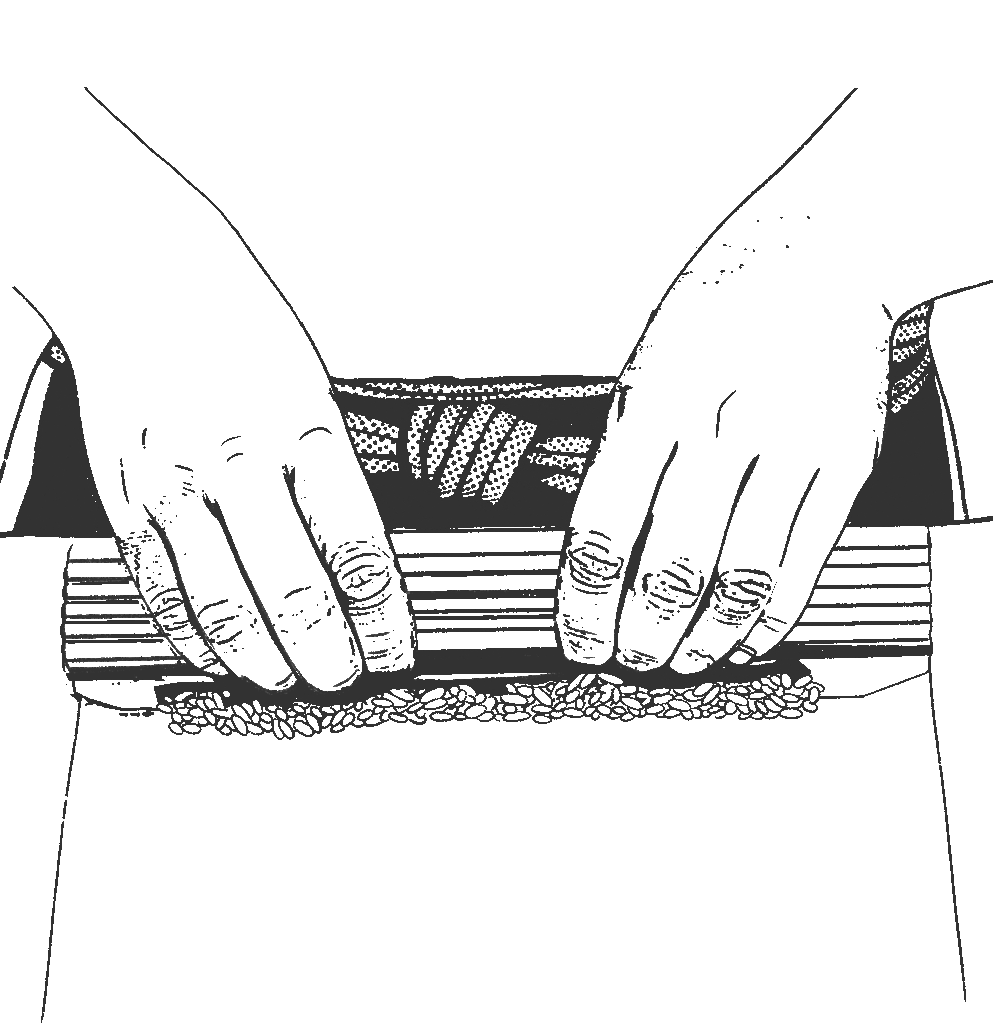 Visuel mains Championnat France Sushi 2026